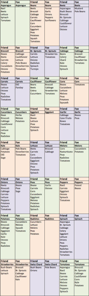 Companion Planting Guide