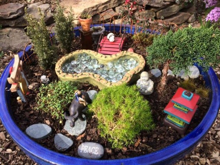 The Magical World of Fairy Gardens