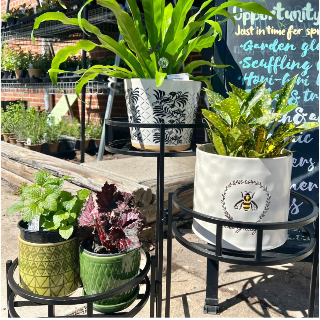 Fifth Season Gift Guide